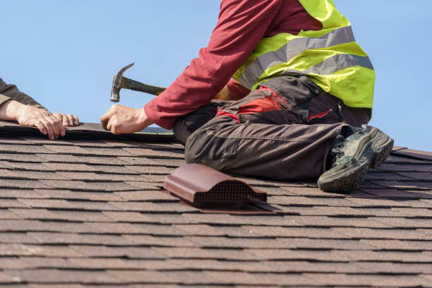 Best Roofing Contractor Near Me  in Linden, TN