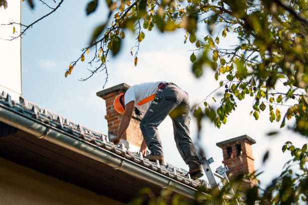 Best Affordable Roofing Company  in Linden, TN