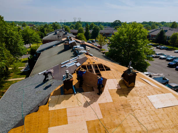 Best Roof Replacement Cost  in Linden, TN