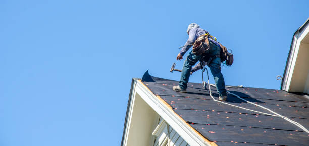 Best Gutter Installation and Roofing  in Linden, TN